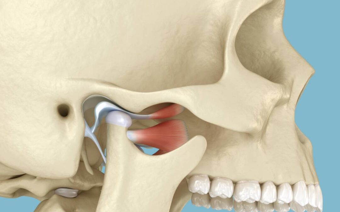 Temporomandibular Joint